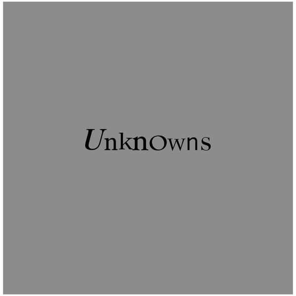 The Dead C - Unknowns - Flying Nun  | Vinyl | CD