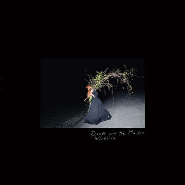 Death & The Maiden - Wisteria - Flying Nun  | Vinyl | CD