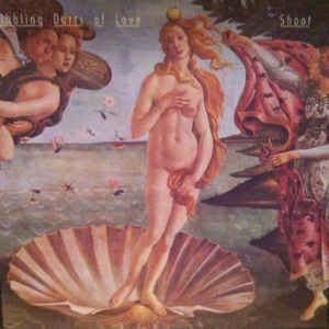 FN161 Dribbling Darts Of Love - Shoot (1990) - Flying Nun  | Vinyl | CD