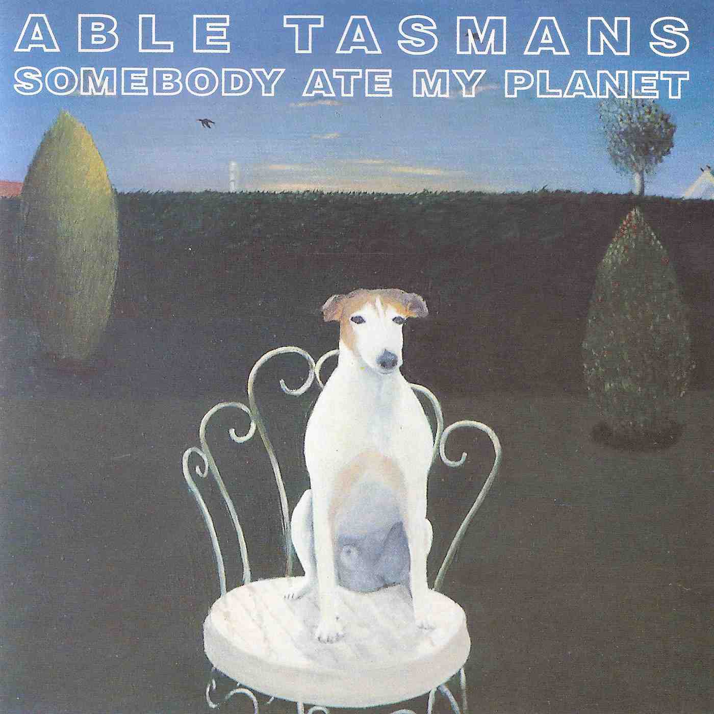 FN233 Able Tasmans - Somebody Ate My Planet (1992) - Flying Nun  | Vinyl | CD