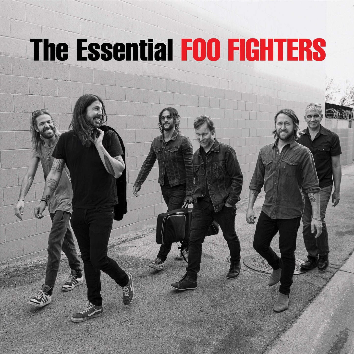 Foo Fighters - The Essential Foo Fighters - Flying Nun  | Vinyl | CD