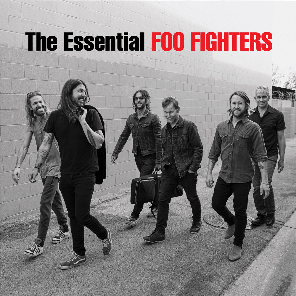 Foo Fighters - The Essential Foo Fighters | Buy on Vinyl LP
