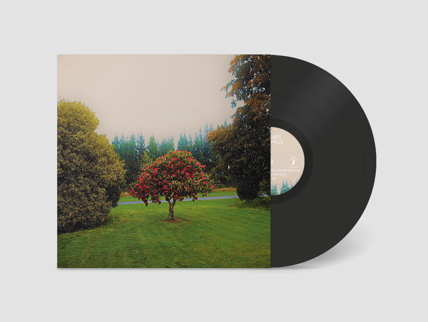 The Bats - Foothills - Flying Nun  | Vinyl | CD