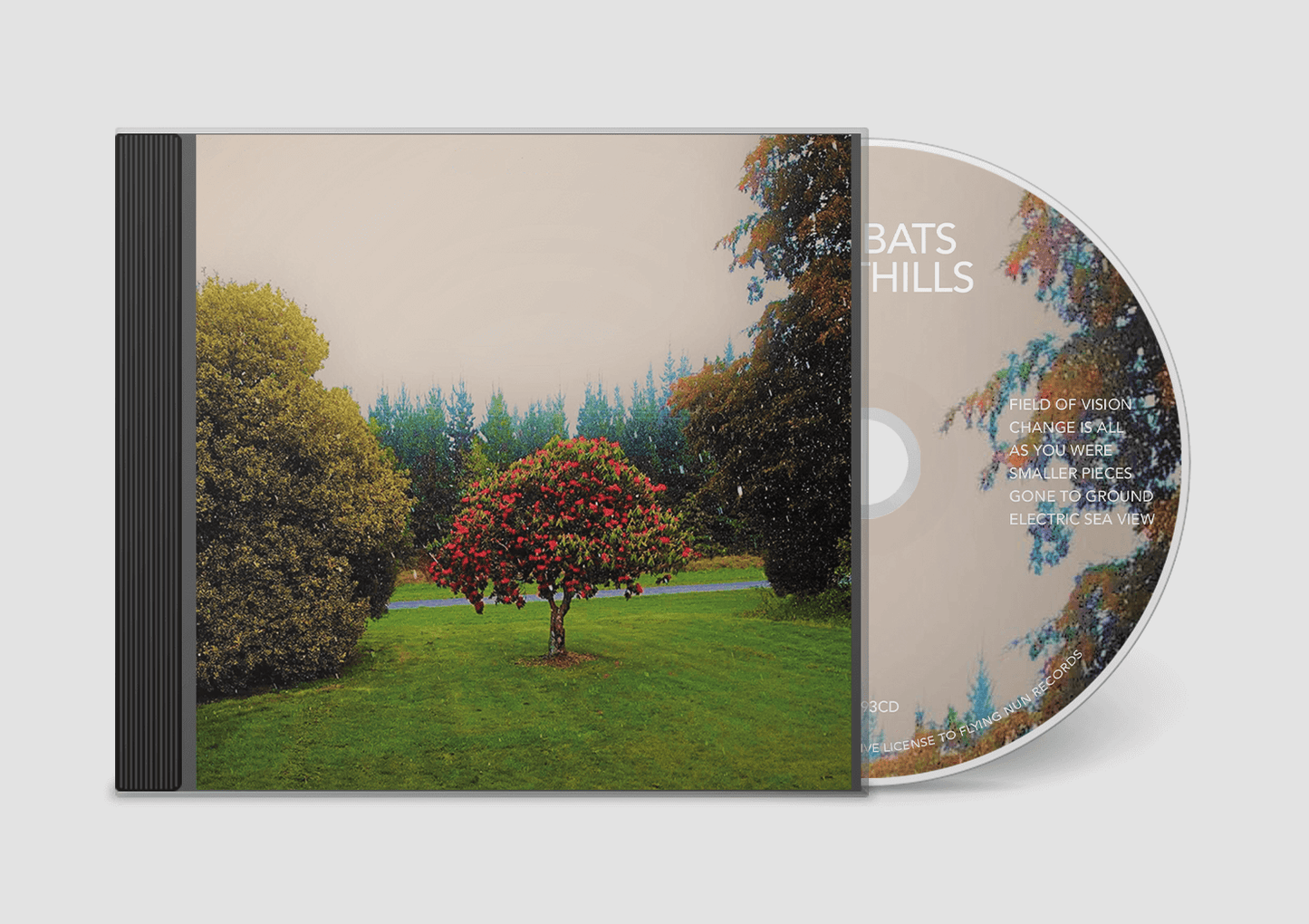 The Bats - Foothills - Flying Nun  | Vinyl | CD