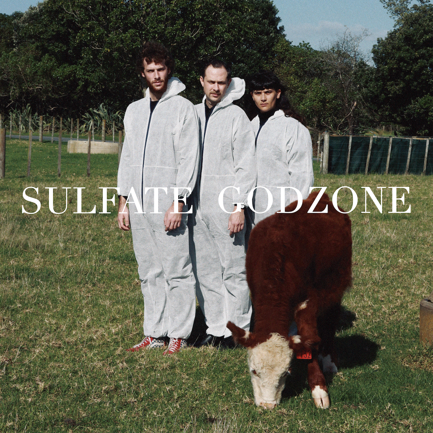 Sulfate band from NZ  - Godzone | Vinyl LP