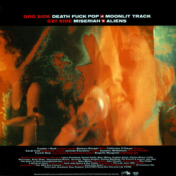 FN160 Fatal Jelly Space - Hole ‎(1990) - Flying Nun  | Vinyl | CD