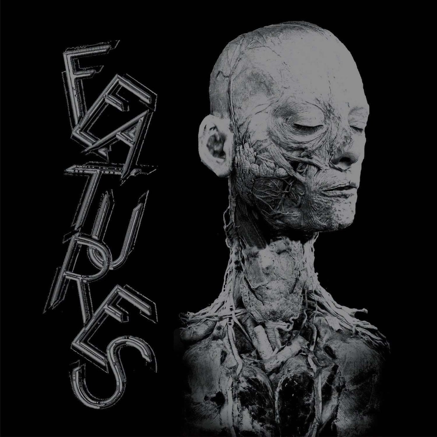 Features - X-Features (2016) - Flying Nun  | Vinyl | CD