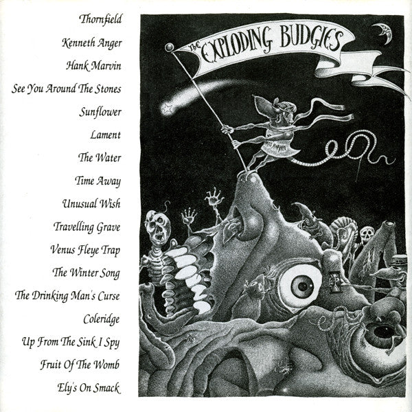 FN193 Goblin Mix & The Exploding Budgies - The Complete Goblin Mix & The Exploding Budgies (1991) - Flying Nun  | Vinyl | CD