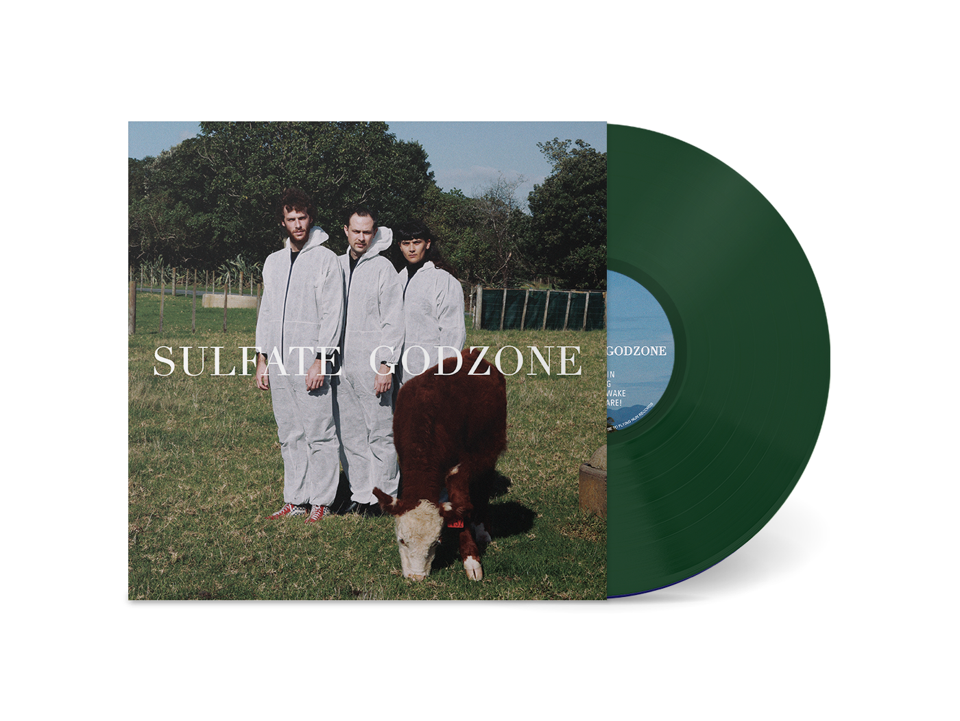 Sulfate band from NZ  - Godzone | Vinyl LP