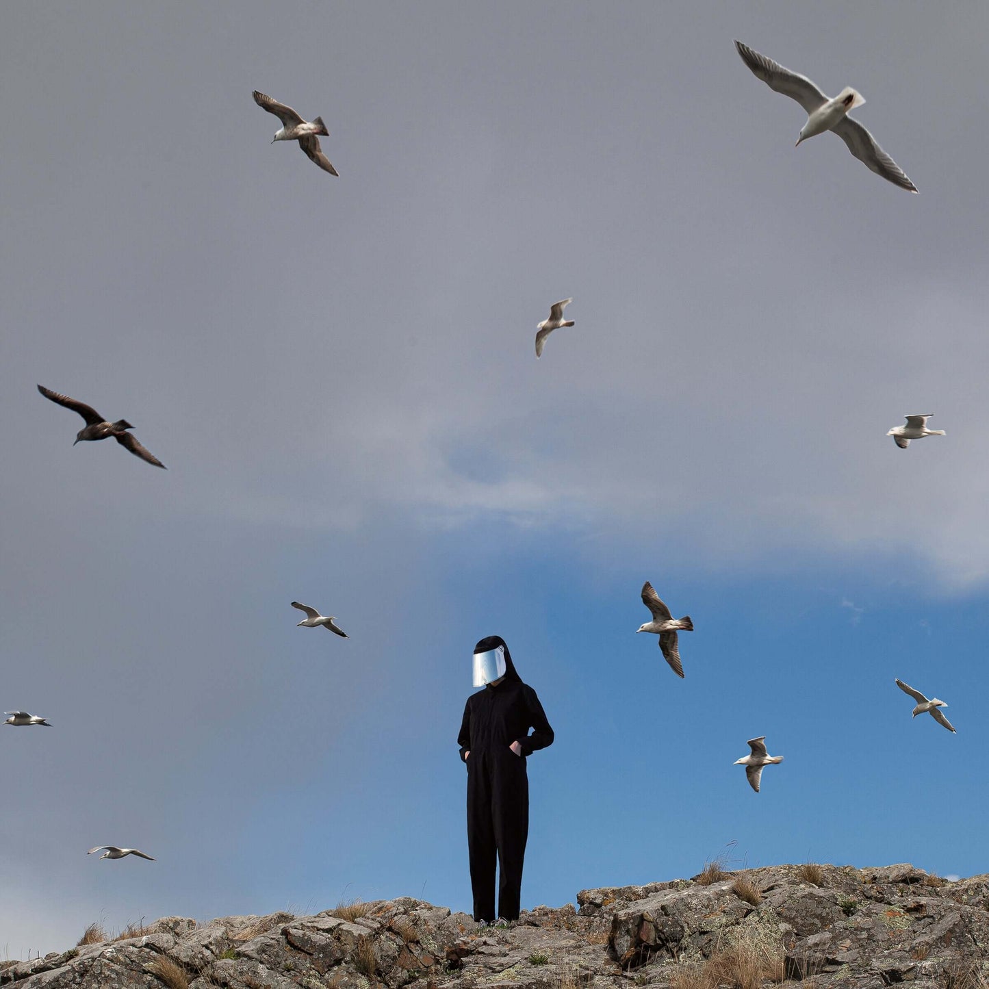 Hamerkop - Remote - Flying Nun  | Vinyl | CD