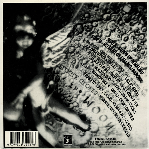 FN222 Heazlewood - Surfs Up In Malibu (1993) - Flying Nun  | Vinyl | CD