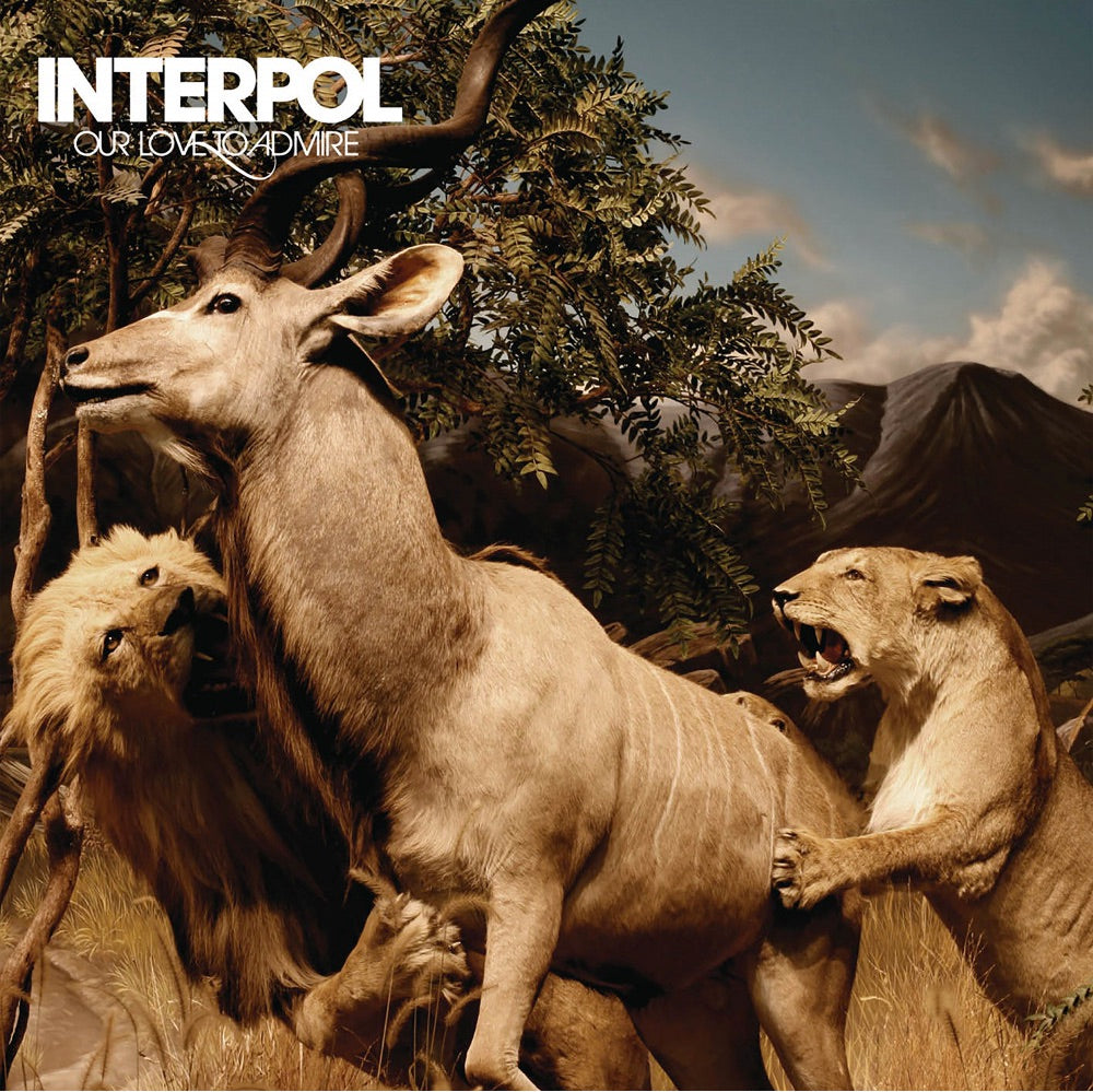 
                  
                    Interpol - Our Love to Admire | Vinyl LP 
                  
                