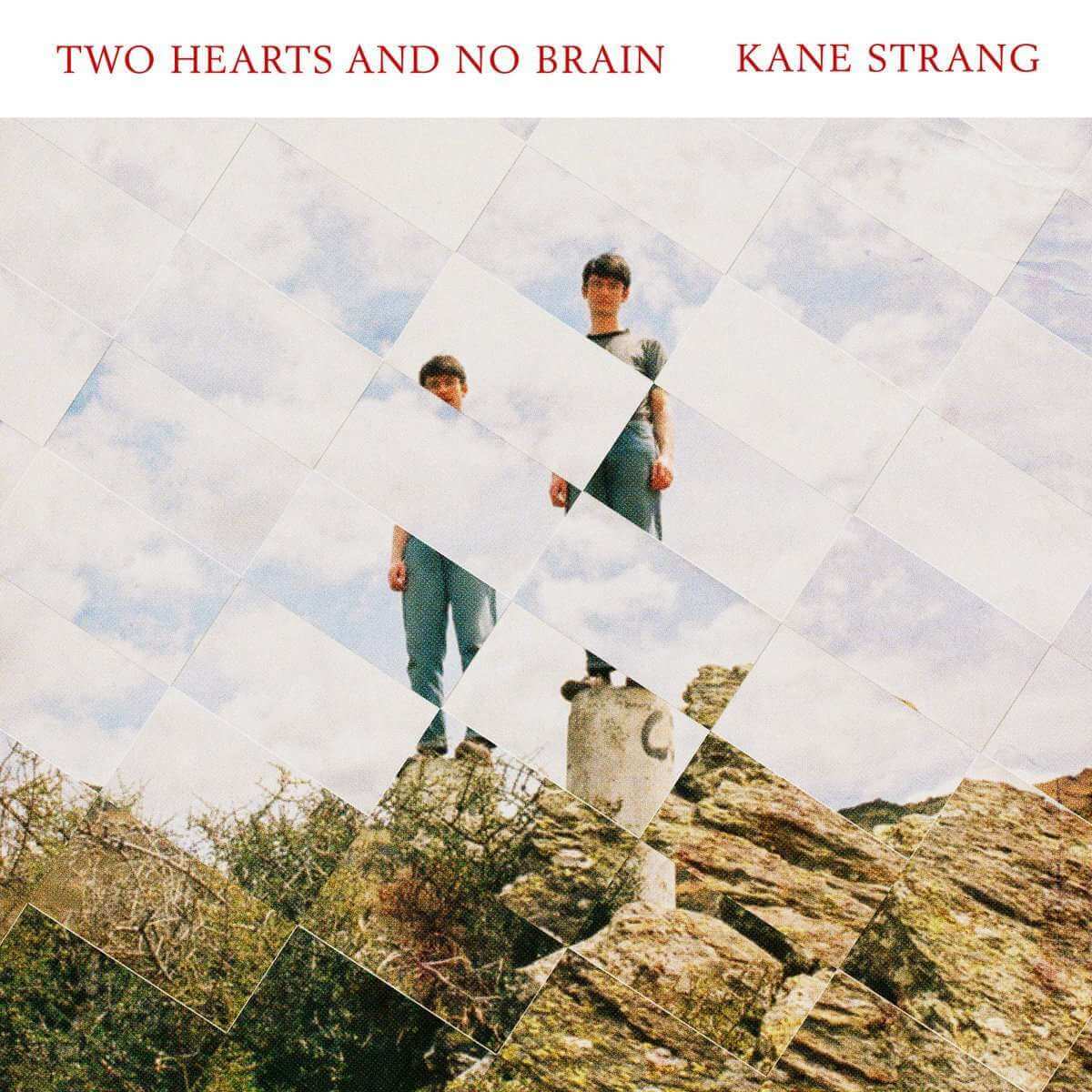 Kane Strang - Two Hearts and No Brain - Flying Nun  | Vinyl | CD