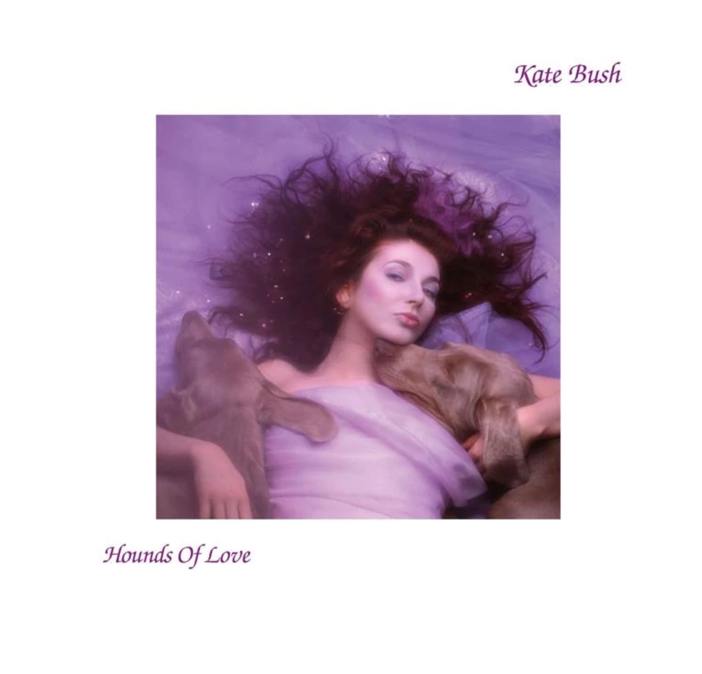 Kate Bush - Hounds of Love - Vinyl LP