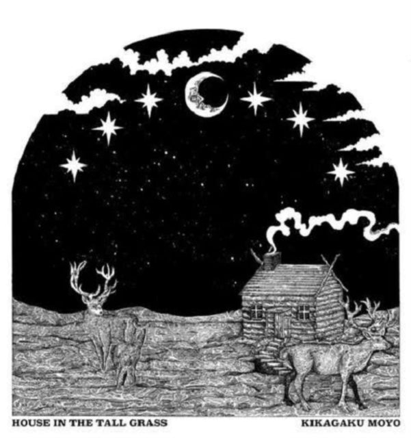 Kikagaku Moyo - House In The Tall Grass - Flying Nun  | Vinyl | CD