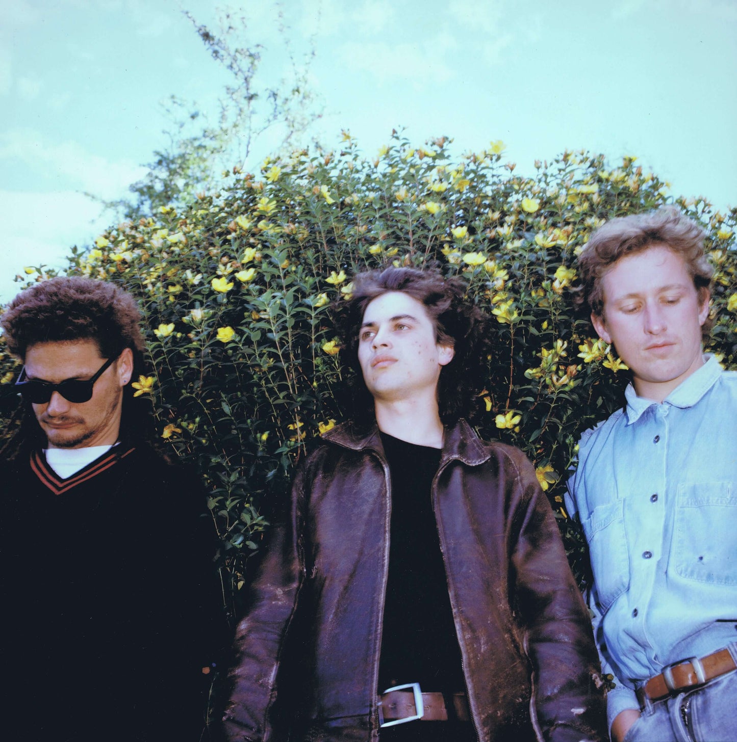 Stephen - Radar of Small Dogs - Flying Nun  | Vinyl | CD