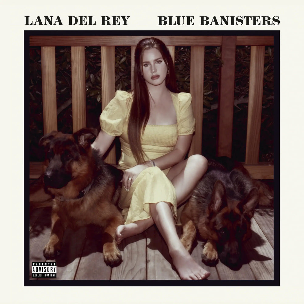 
                  
                    Lana Del Rey – Blue Banisters | Buy on Vinyl LP
                  
                