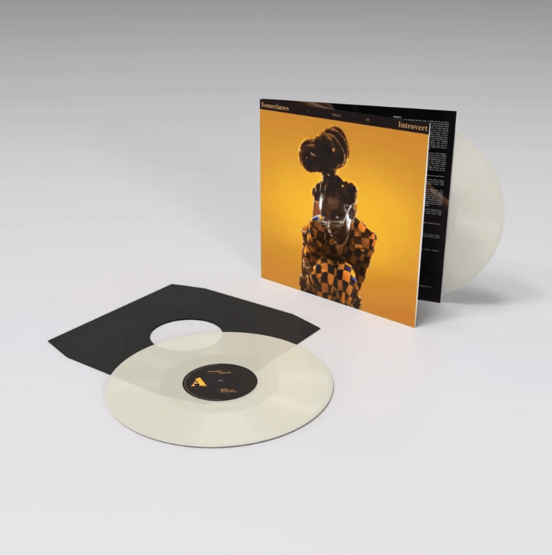 
                  
                    Little Simz – Sometimes I Might Be Introvert - Flying Nun  | Vinyl | CD
                  
                