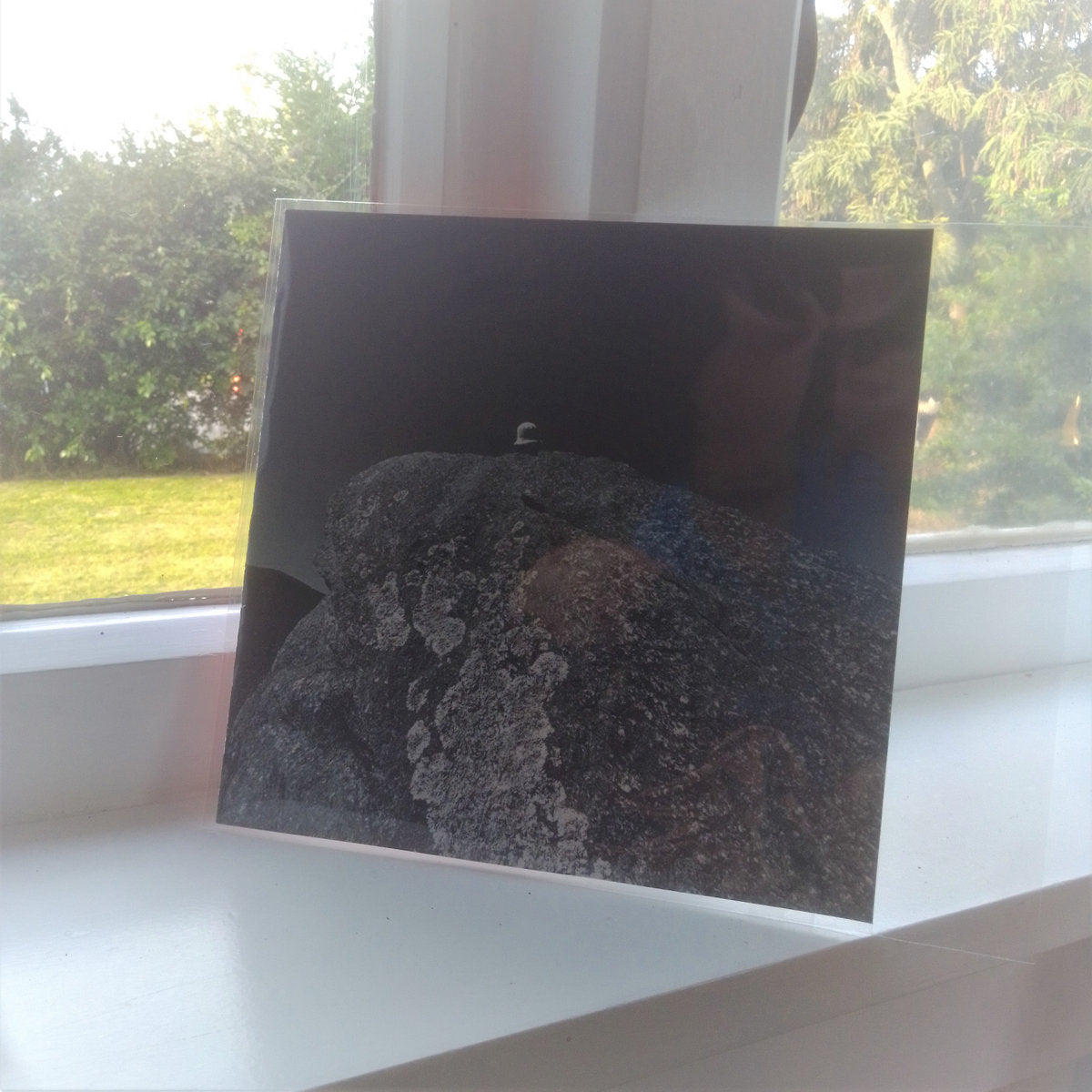 Local Tourist - Undone/You are Not Alone - Flying Nun  | Vinyl | CD