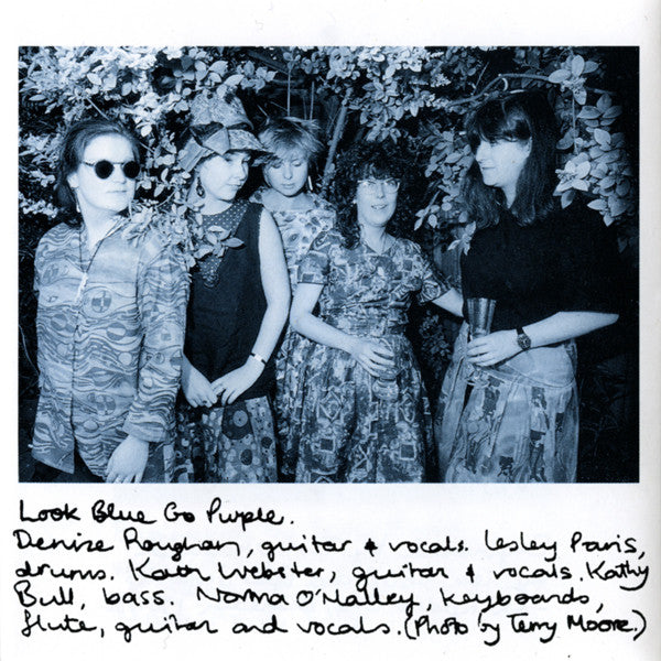 FN171 Look Blue Go Purple - Compilation (1991) - Flying Nun  | Vinyl | CD