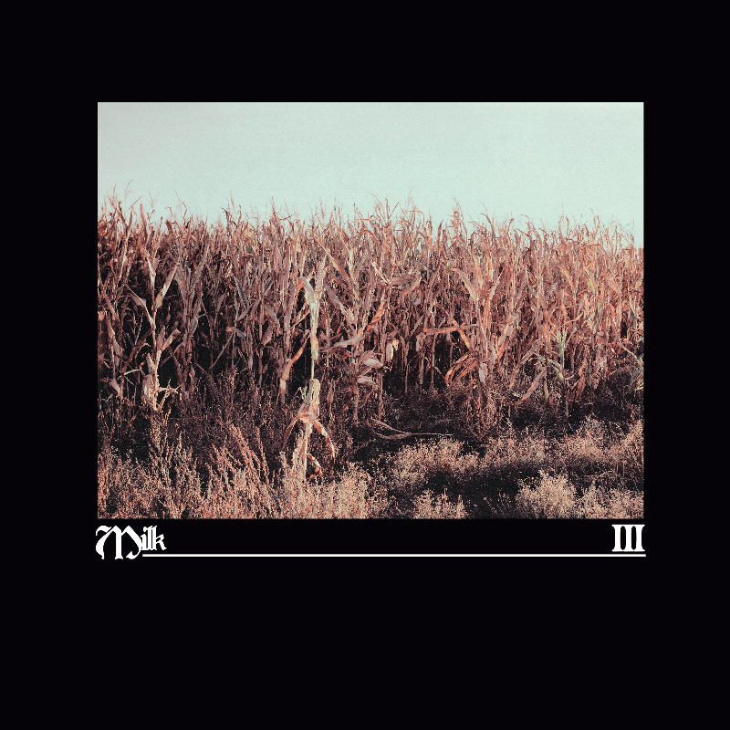 Milk - III - Flying Nun  | Vinyl | CD