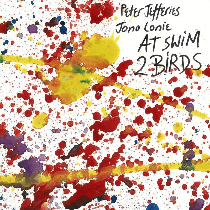Peter Jefferies & Jono Lonie - At Swim 2 Birds - Flying Nun  | Vinyl | CD