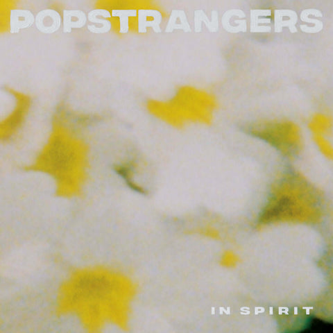 Popstrangers - In Spirit - Flying Nun  | Vinyl | CD