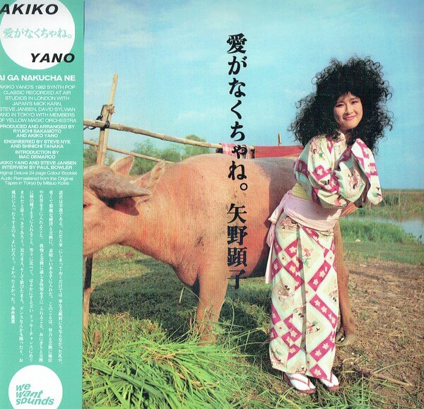  Akiko Yano – Ai Ga Nakucha Ne (Reissue) | Buy on Vinyl LP