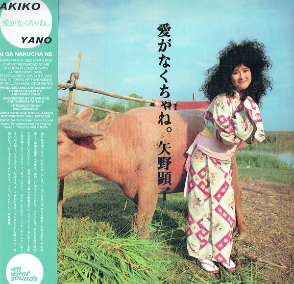  Akiko Yano – Ai Ga Nakucha Ne (Reissue) | Buy on Vinyl LP