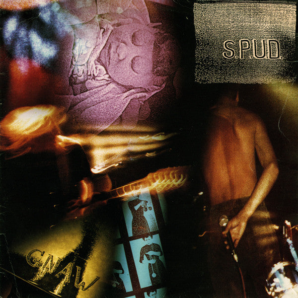FN198 S.P.U.D. - Gnaw (1991) - Flying Nun  | Vinyl | CD