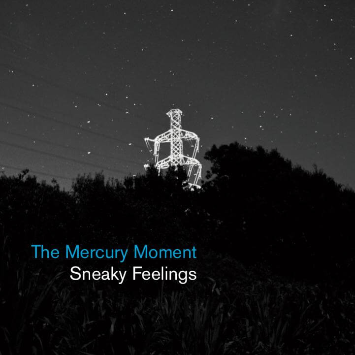 Sneaky Feelings - The Mercury Moment - Flying Nun  | Vinyl | CD