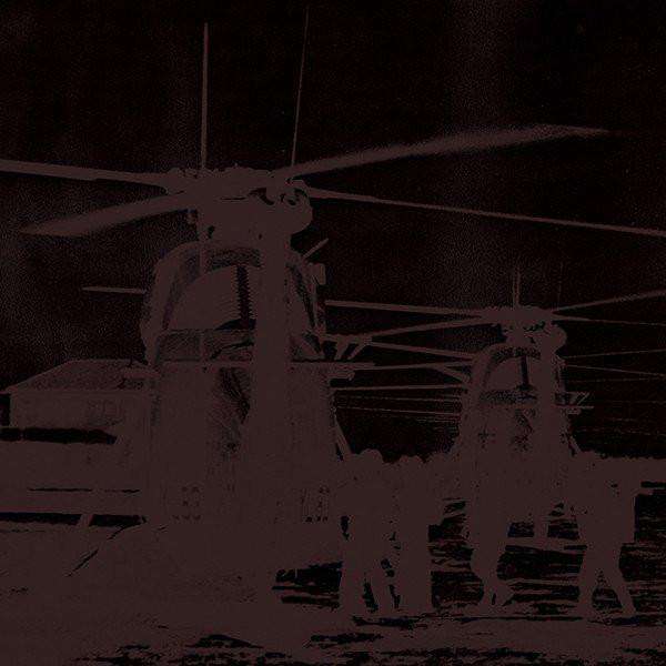 FN520 The Pin Group - Ambivalence ‎(2012) - Flying Nun  | Vinyl | CD