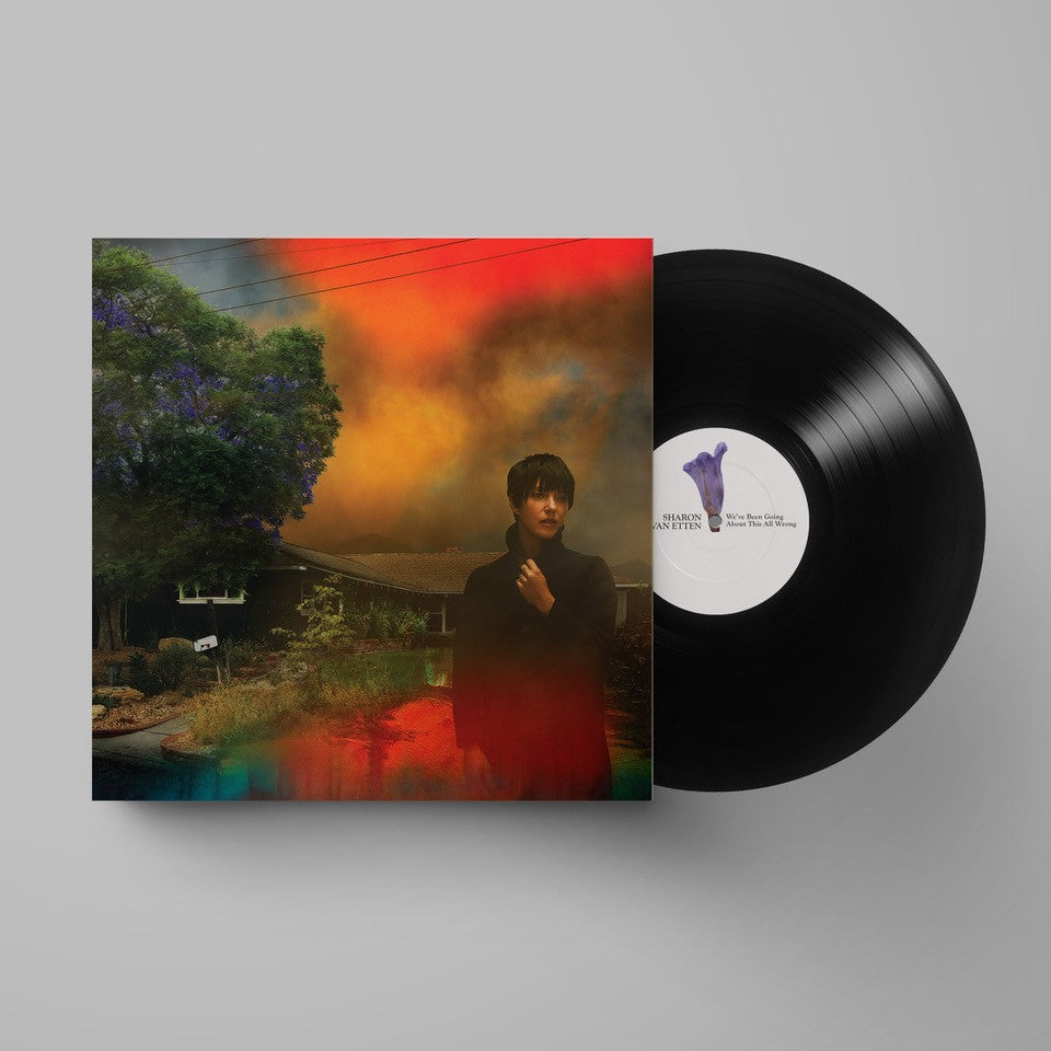 Sharon Van Etten - We’ve Been Going About This All Wrong - Flying Nun  | Vinyl | CD