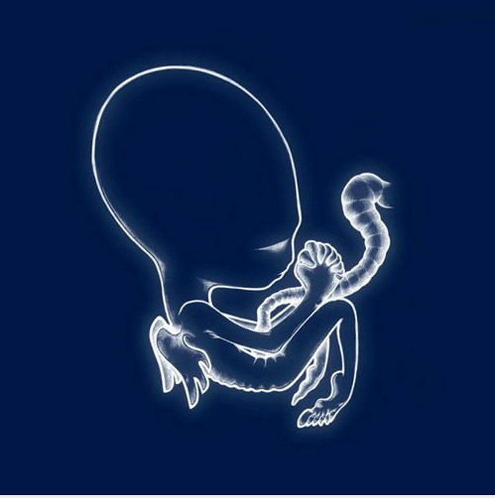 Sigur Ros - Agaetis Byrjun | Buy on Vinyl LP