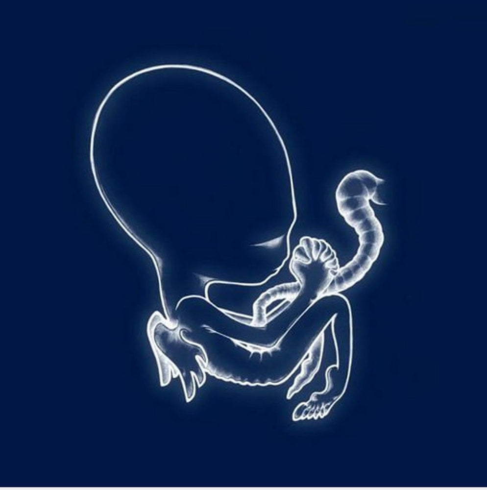 
                  
                    Sigur Ros - Agaetis Byrjun - Flying Nun  | Vinyl | CD
                  
                