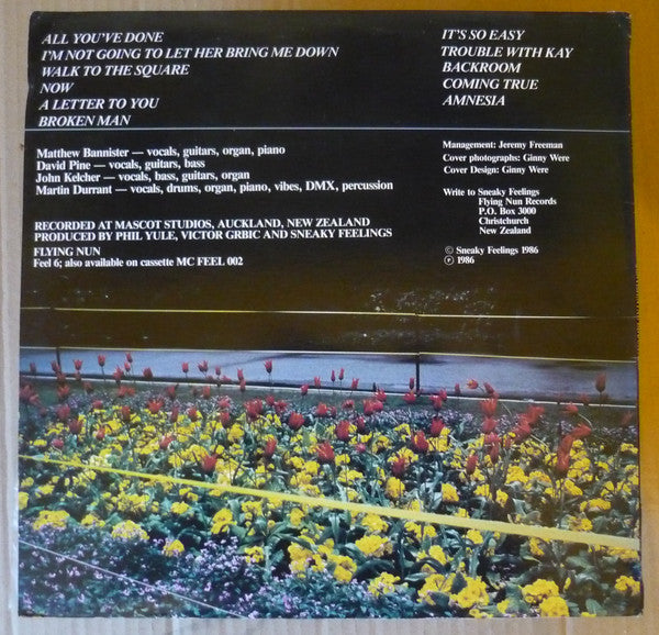 FEEL 6 Sneaky Feelings - Sentimental Education (1986) - Flying Nun  | Vinyl | CD