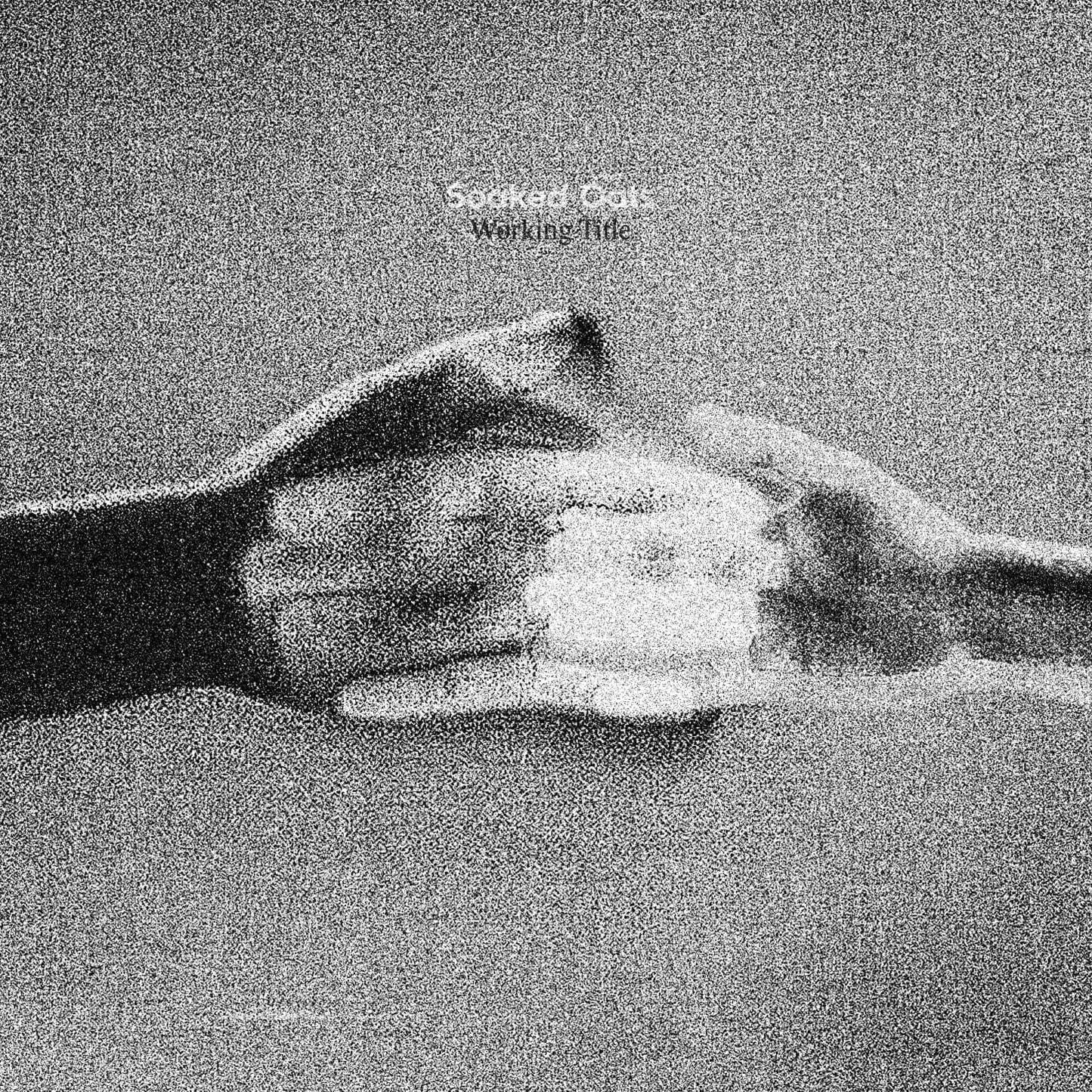 Soaked Oats - Working Title - Flying Nun  | Vinyl | CD