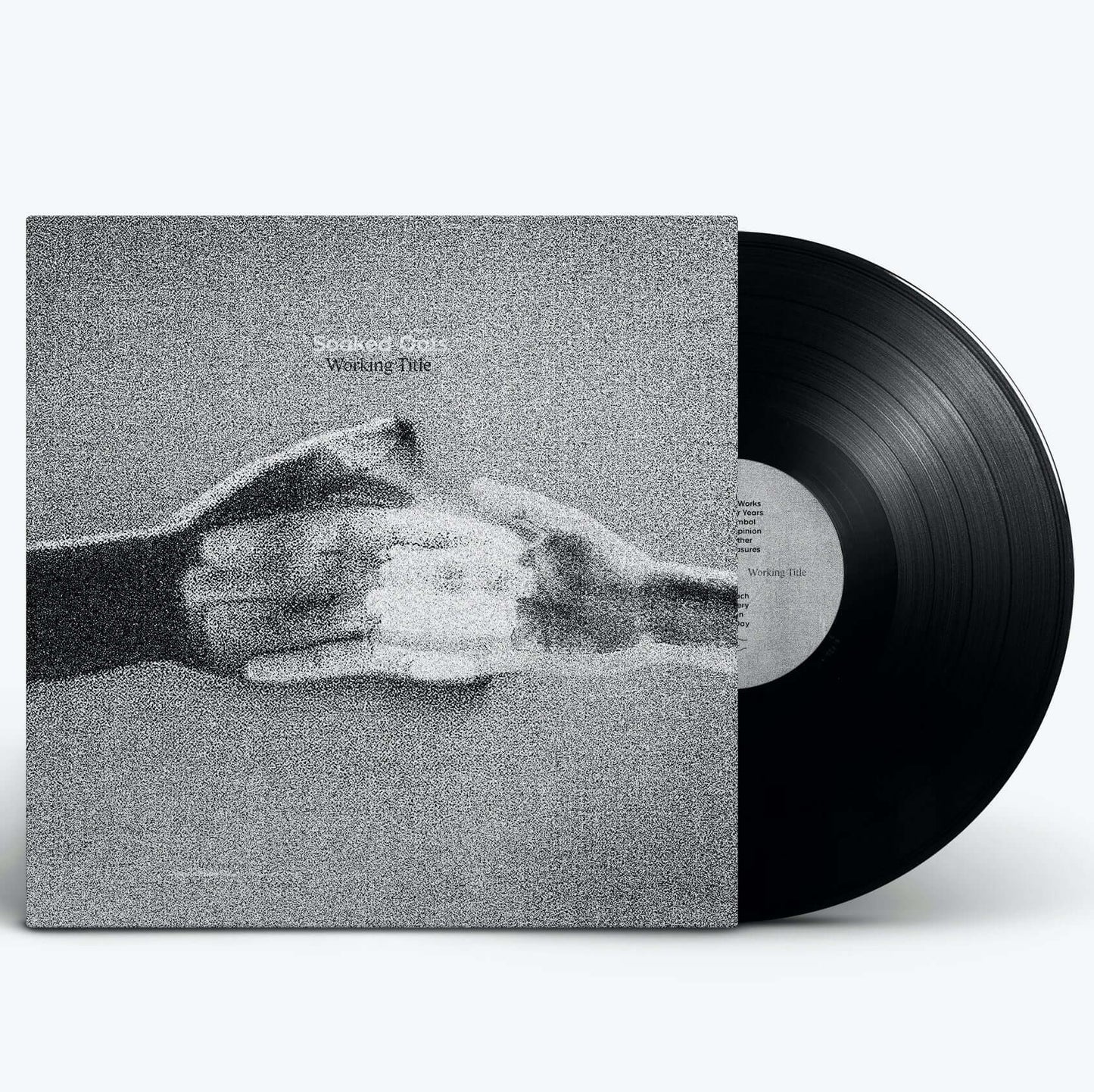 Soaked Oats - Working Title - Flying Nun  | Vinyl | CD