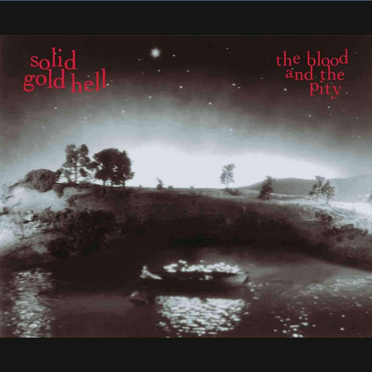 FN346 Solid Gold Hell - The Blood And The Pity ‎(1996) - Flying Nun  | Vinyl | CD