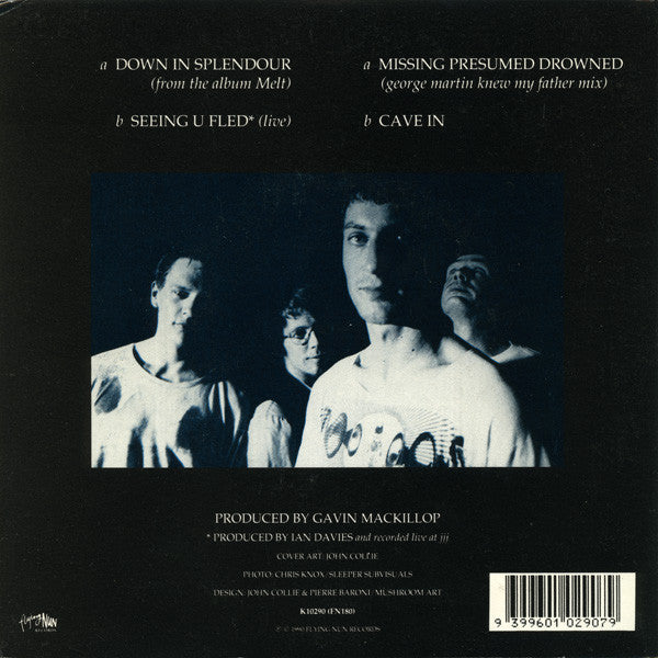 FN180 Straitjacket Fits - Down In Splendour ‎(1990) - Flying Nun  | Vinyl | CD