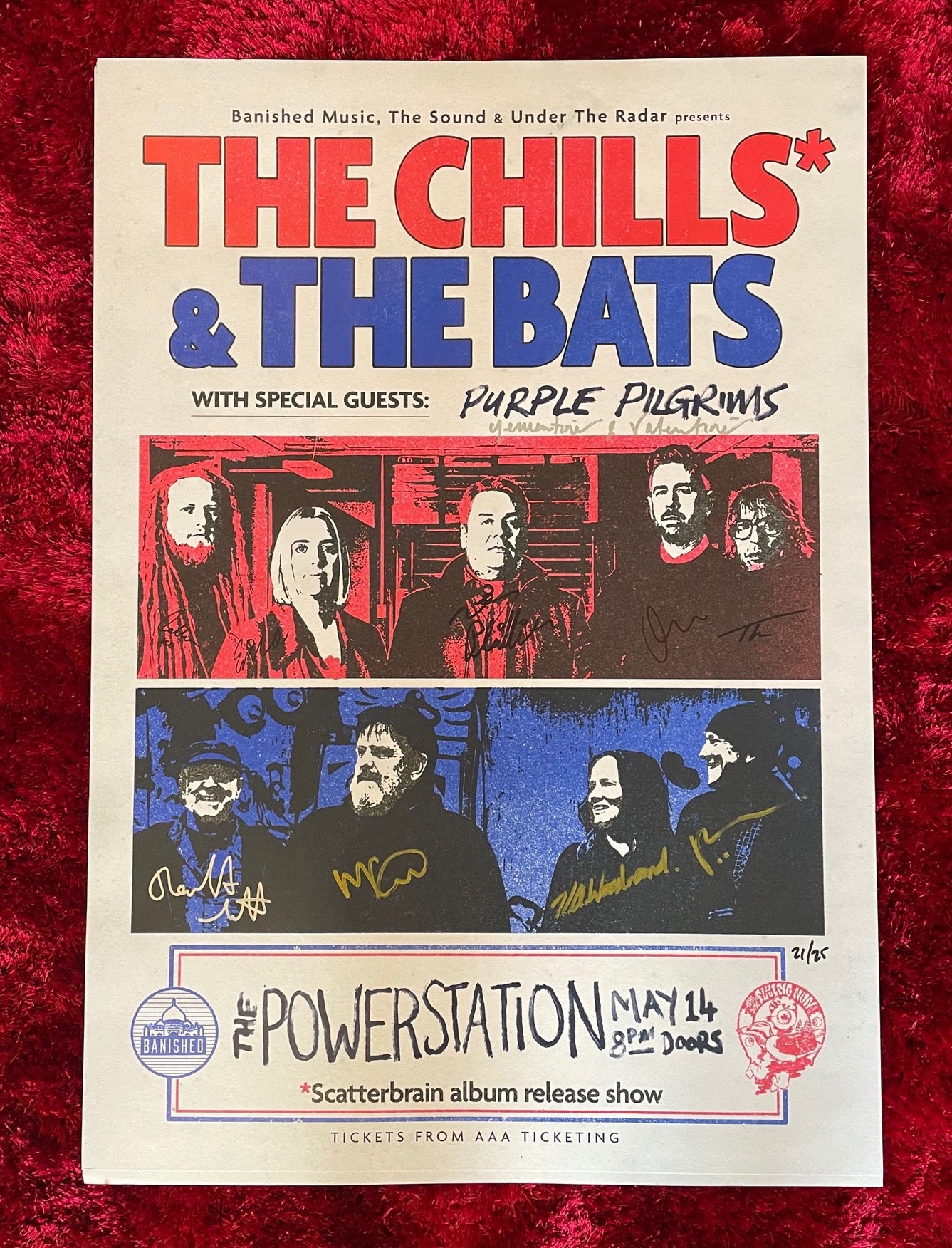 Chills, The , The Bats, Purple Pilgrims - Signed Poster - Flying Nun  | Vinyl | CD