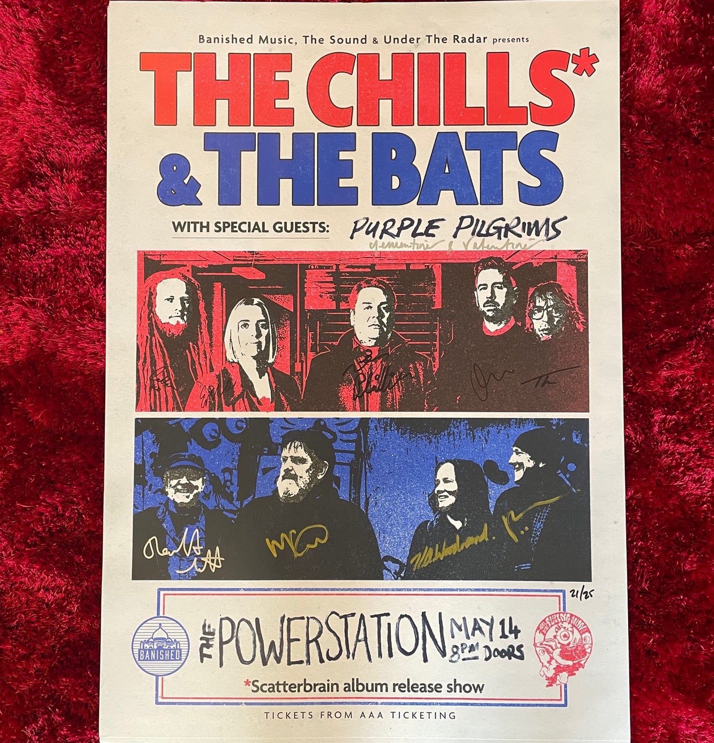 Chills, The , The Bats, Purple Pilgrims - Signed Poster - Flying Nun  | Vinyl | CD