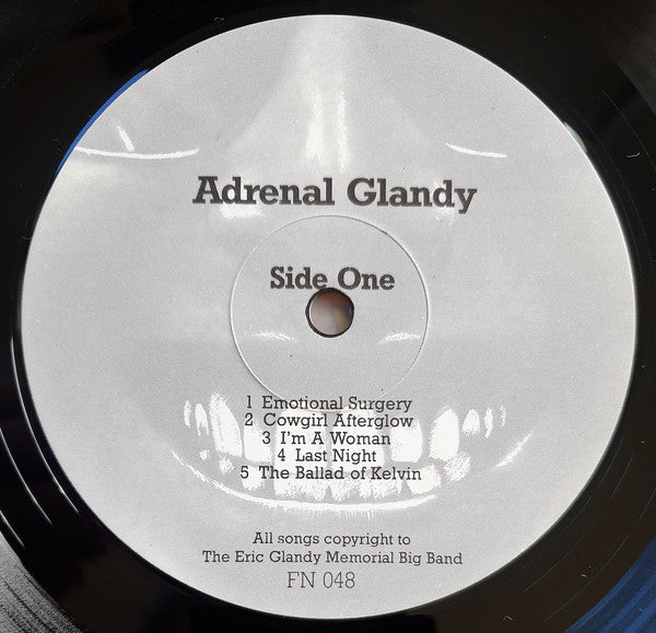 FN048 The Eric Glandy Memorial Big Band - Adrenal Glandy: Songs Of Love, Hate And Revenge (1986) - Flying Nun  | Vinyl | CD