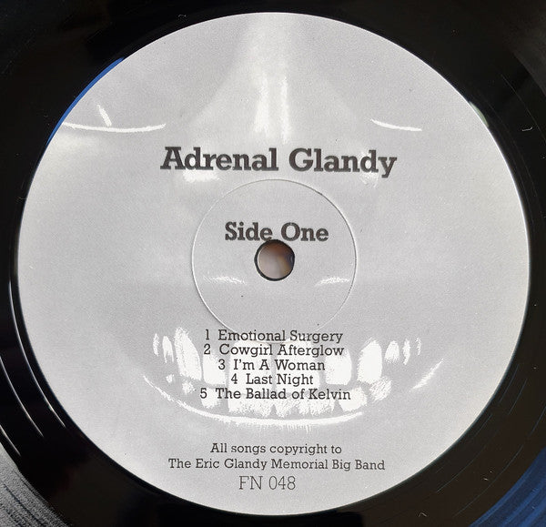 
                  
                    FN048 The Eric Glandy Memorial Big Band - Adrenal Glandy: Songs Of Love, Hate And Revenge (1986)
                  
                