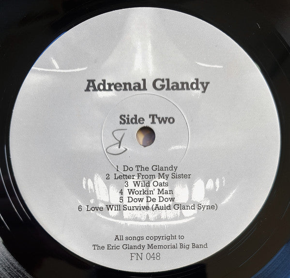 FN048 The Eric Glandy Memorial Big Band - Adrenal Glandy: Songs Of Love, Hate And Revenge (1986) - Flying Nun  | Vinyl | CD
