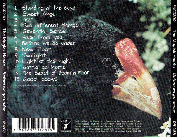 FN290 The Magick Heads - Before We Go Under (1995) - Flying Nun  | Vinyl | CD