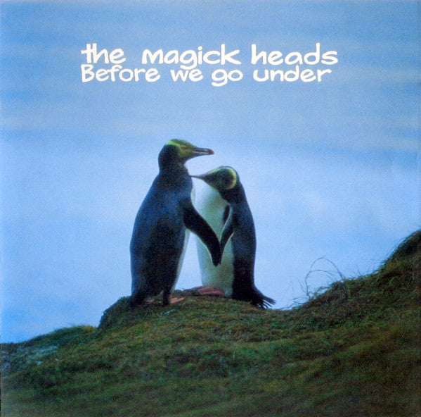 FN290 The Magick Heads - Before We Go Under (1995) - Flying Nun  | Vinyl | CD