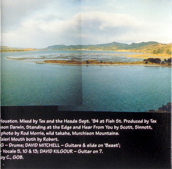 
                  
                    FN290 The Magick Heads - Before We Go Under (1995) - Flying Nun  | Vinyl | CD
                  
                