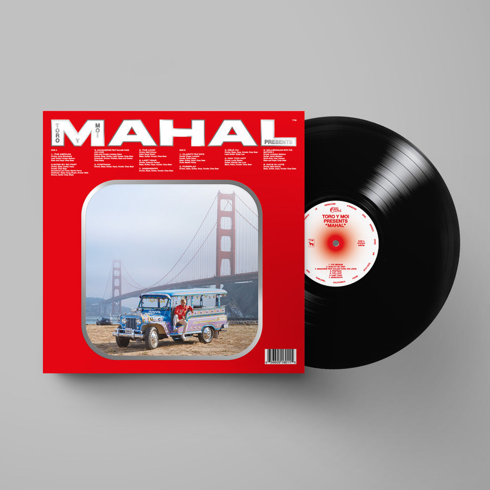 
                  
                    Toro Y Moi - Mahal | Vinyl LP
                  
                