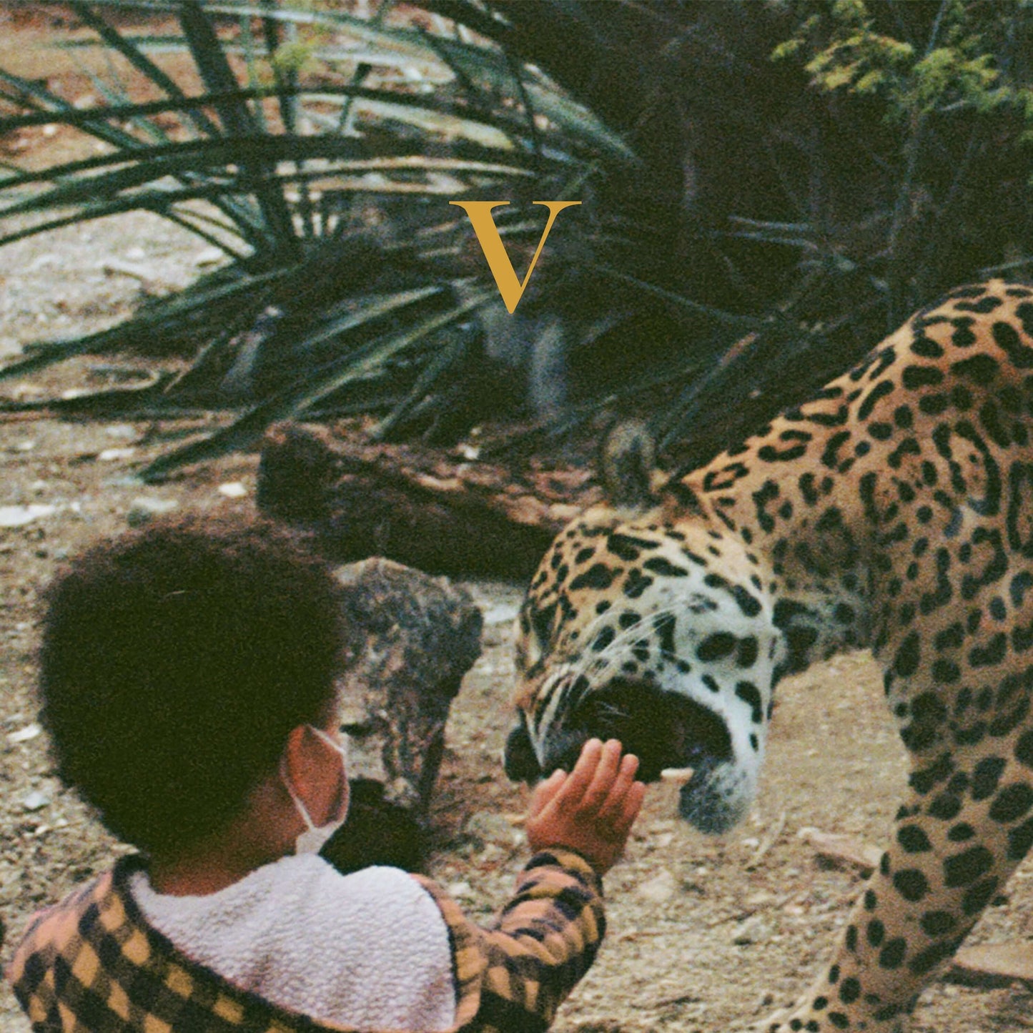 Unknown Mortal Orchestra - V - Flying Nun  | Vinyl | CD